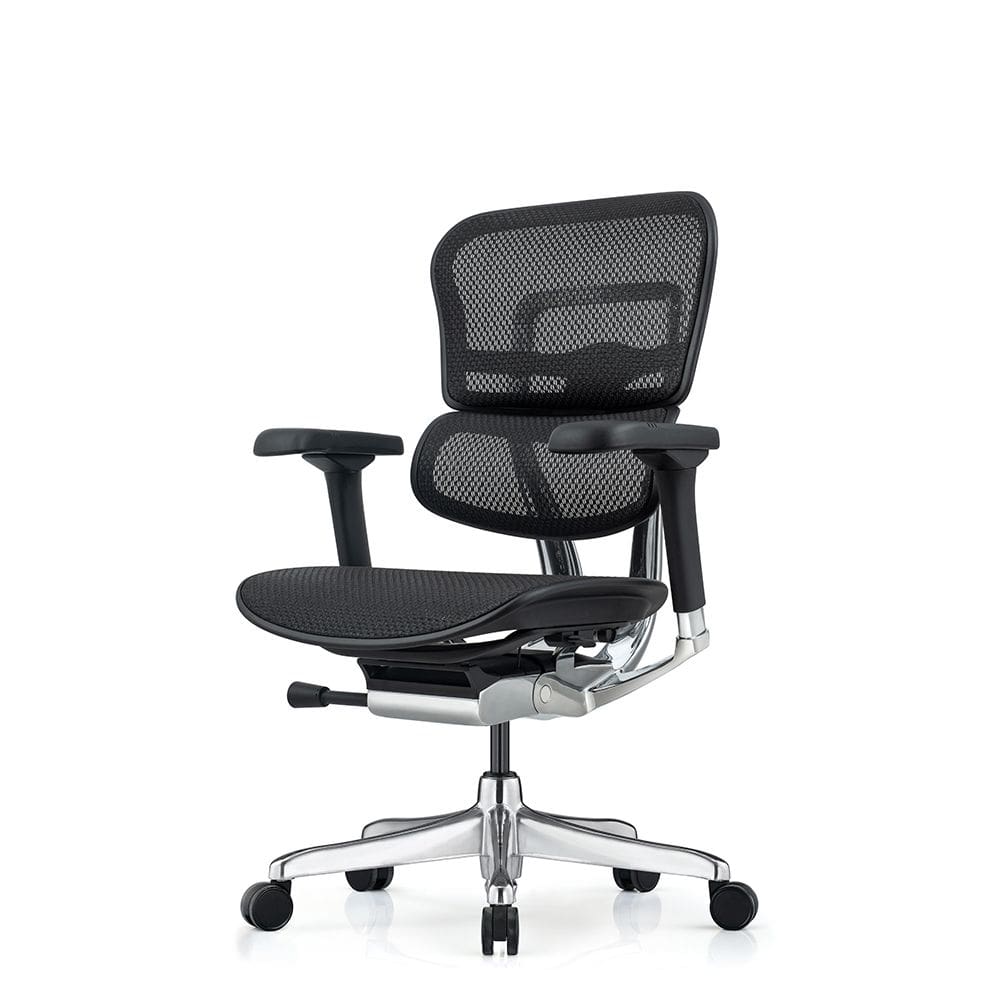 Comfort seating hotsell ergohuman plus