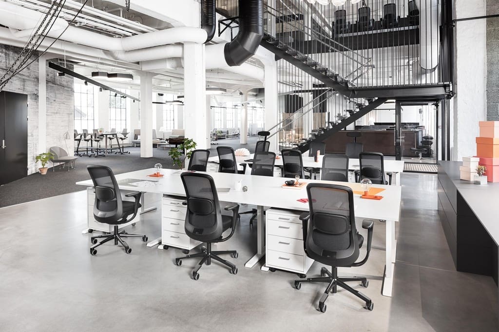 hag_sofi_mesh_interior_cppt