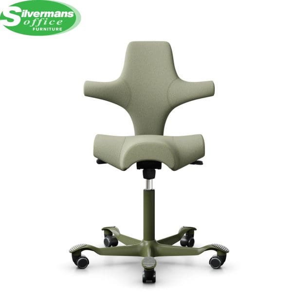 silvermans-website