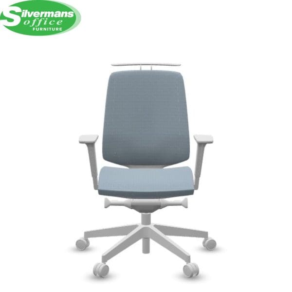 silvermans-website