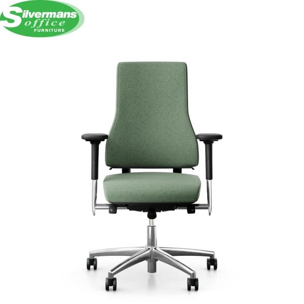 silvermans-website