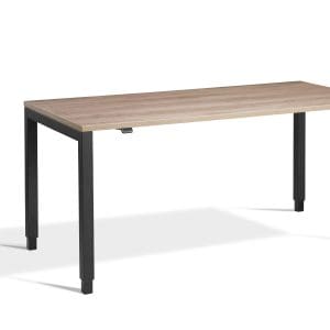 Black Crown Grey Nebraska Oak