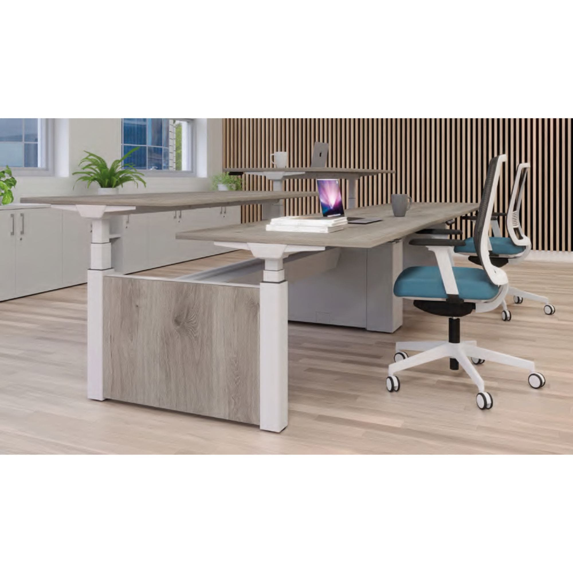Modern office with wooden adjustable desks and blue chairs